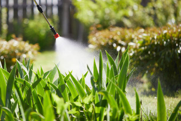 24/7 Emergency Ant Control experts in Jackson, GA